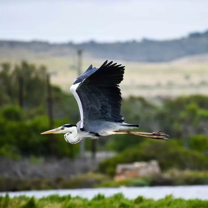 28 Things To Do in Hartenbos
