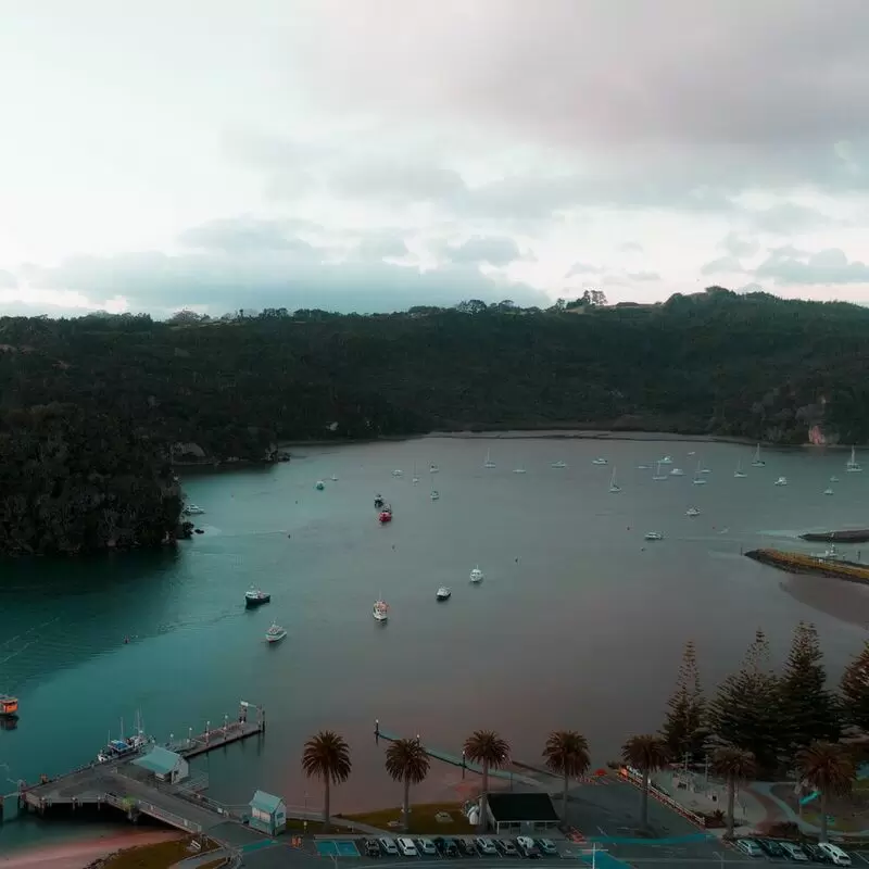 24 Things To Do in Whitianga