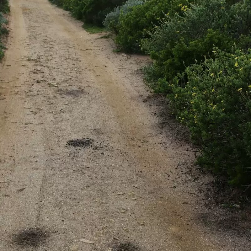 20 Things To Do in Langebaan