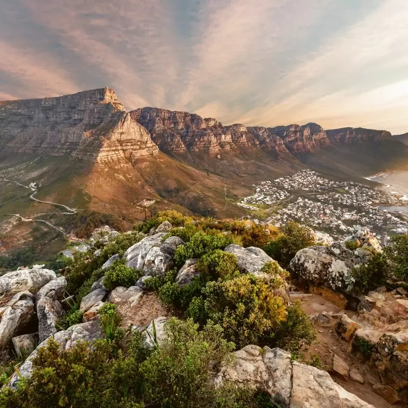 Table Mountain National Park