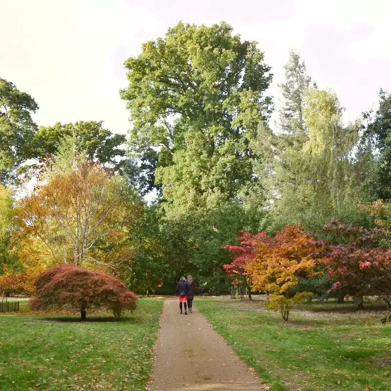 Harcourt Arboretum University of Oxford)