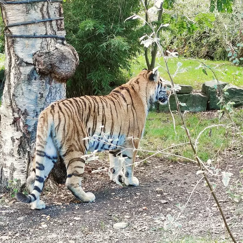 Dublin Zoo