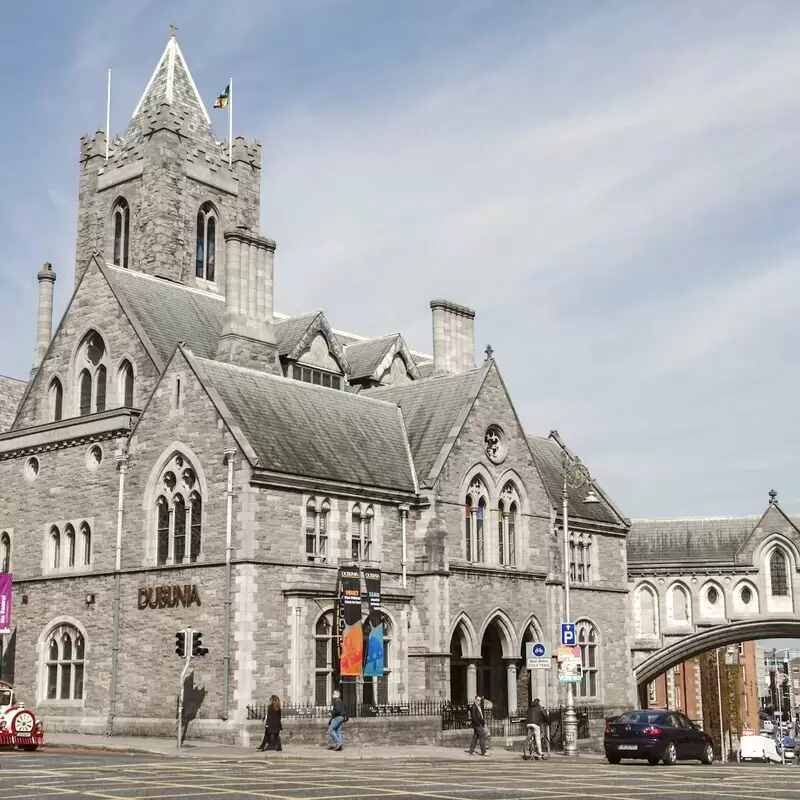 Dublinia