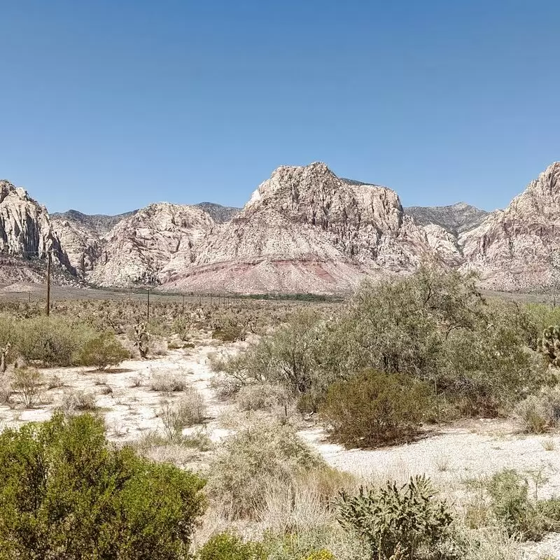 Red Rock Canyon National Conservation Area