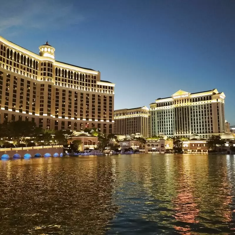 The Venetian Las Vegas