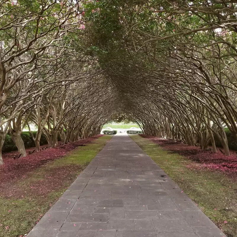 The Dallas Arboretum and Botanical Garden