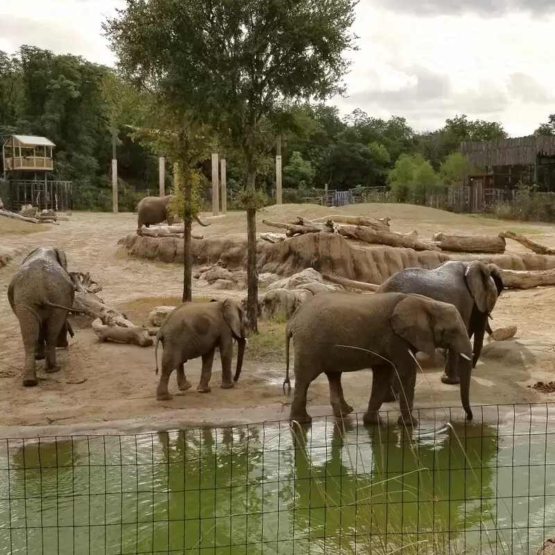 Dallas Zoo