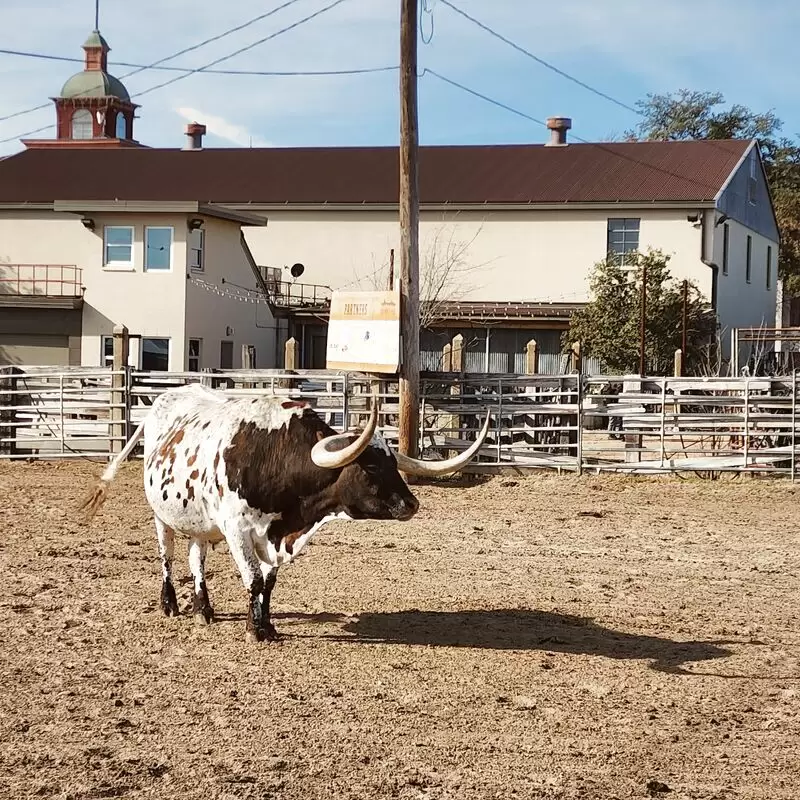 Fort Worth Stockyards