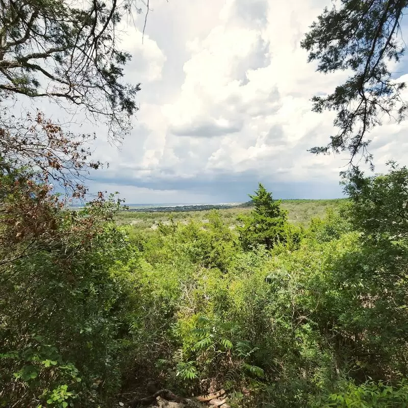 Cedar Ridge Preserve