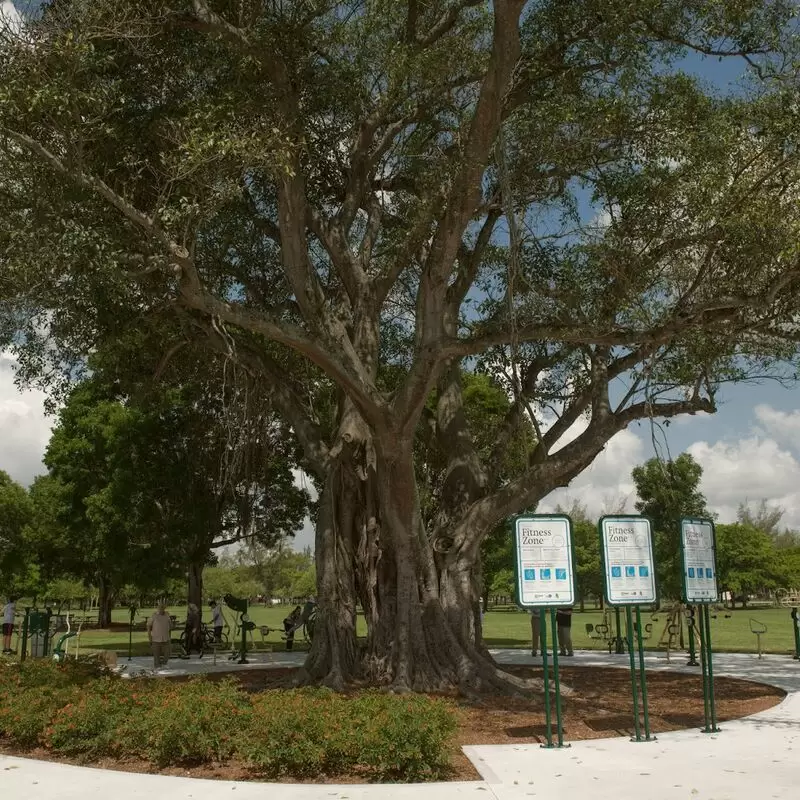 Tropical Park