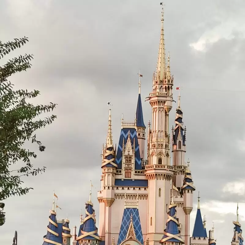 Magic Kingdom Park