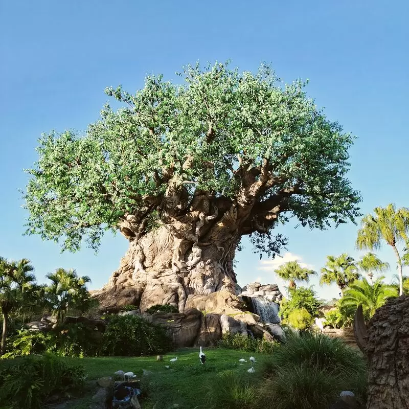 Disney's Animal Kingdom Theme Park