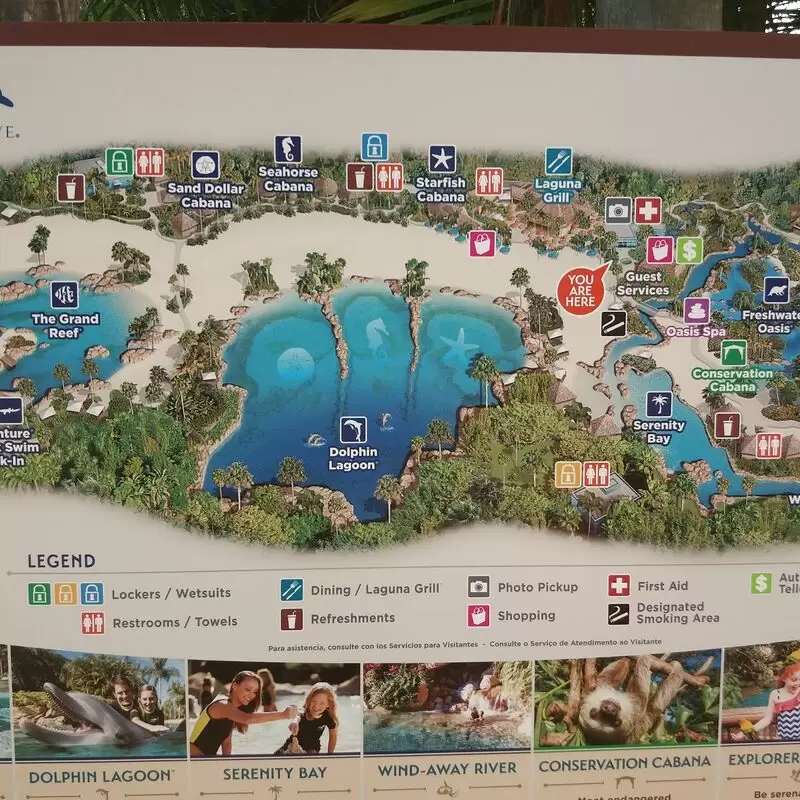 Discovery Cove Orlando