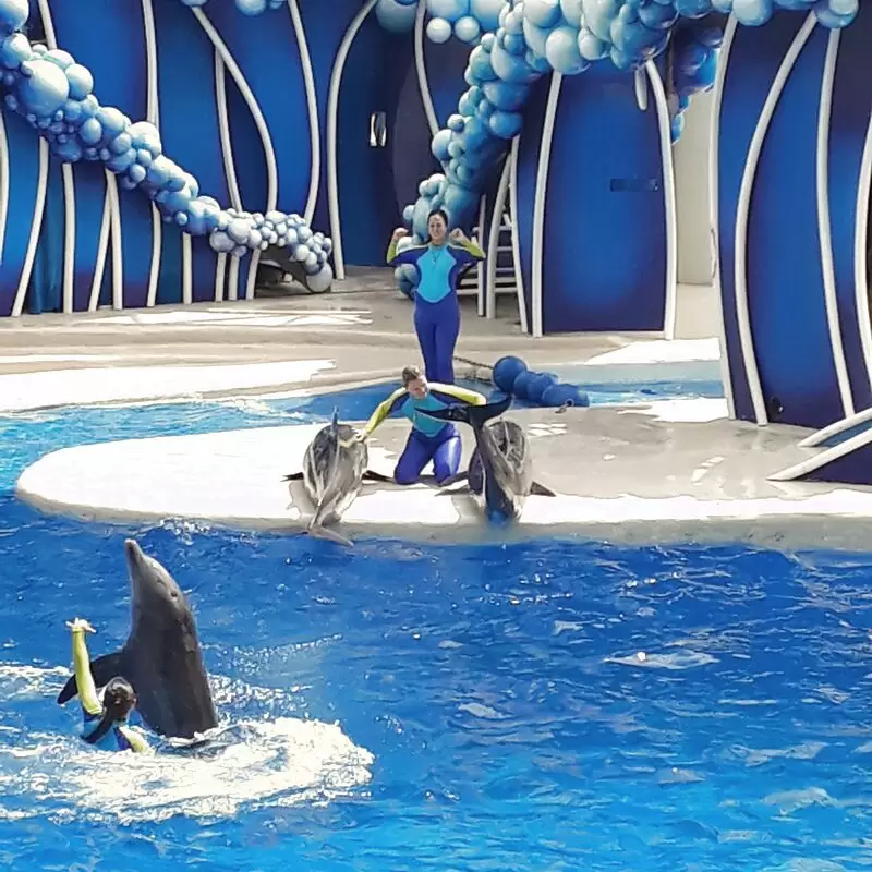 Dolphin Theater