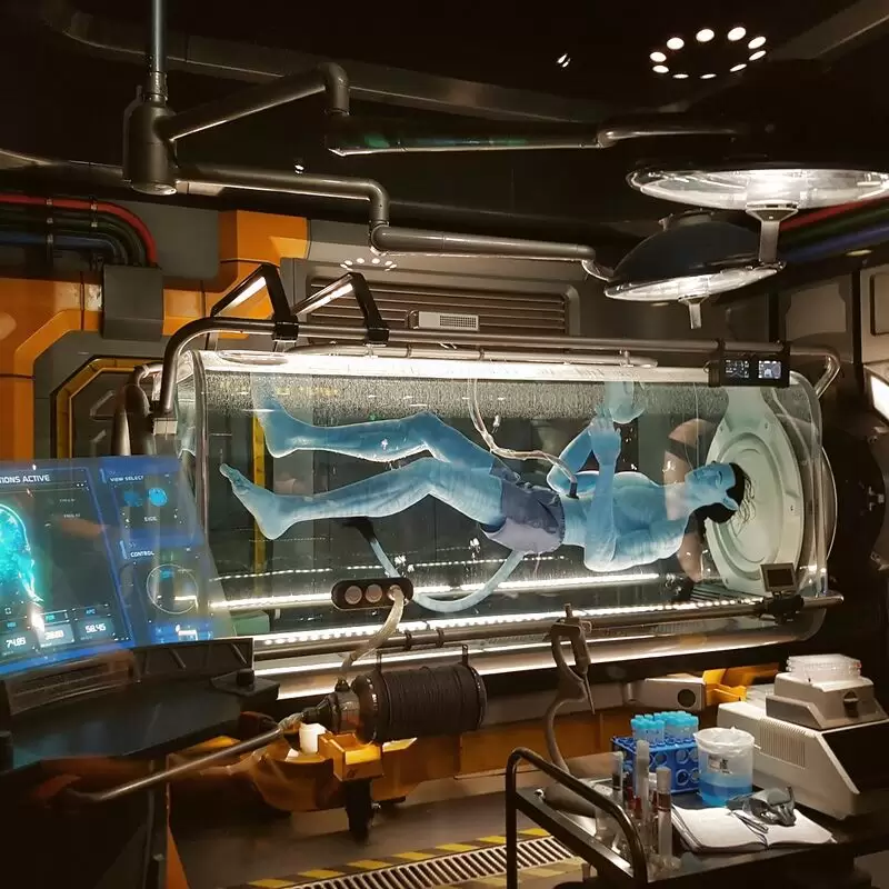 Avatar Flight of Passage