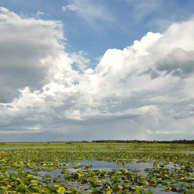 Boggy Creek Airboat Adventures