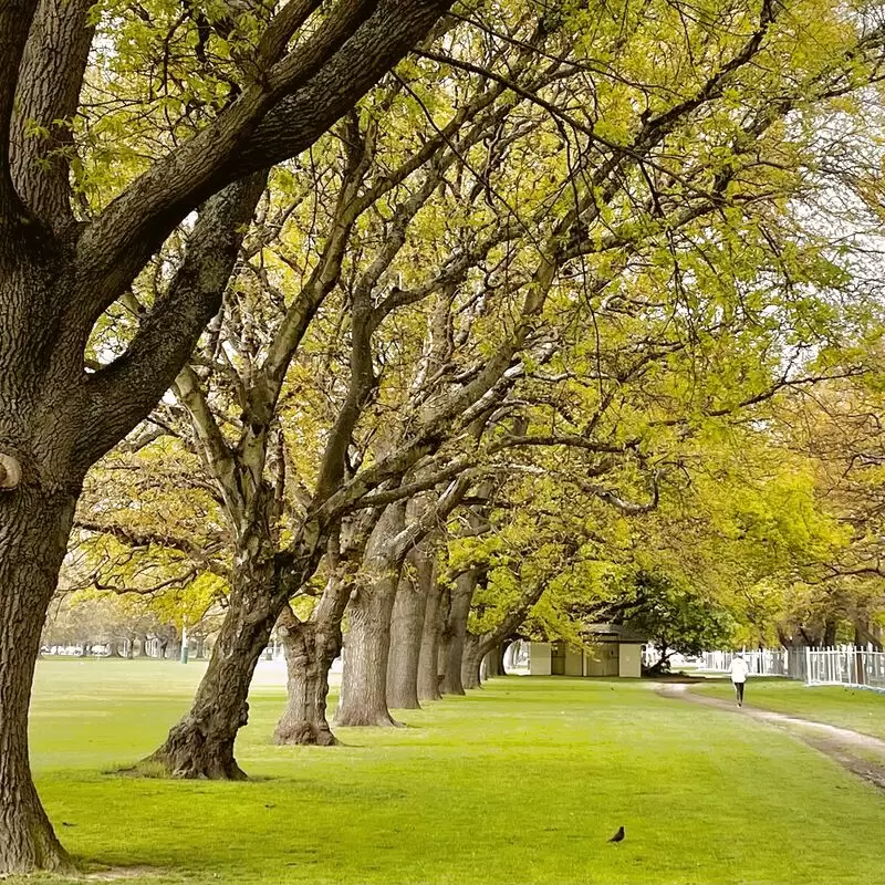 Hagley Park North