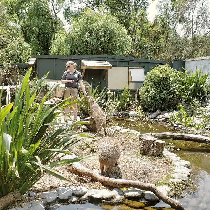 Willowbank Wildlife Reserve