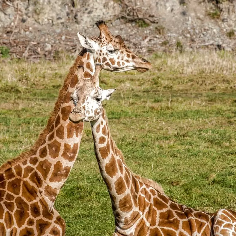Orana Wildlife Park