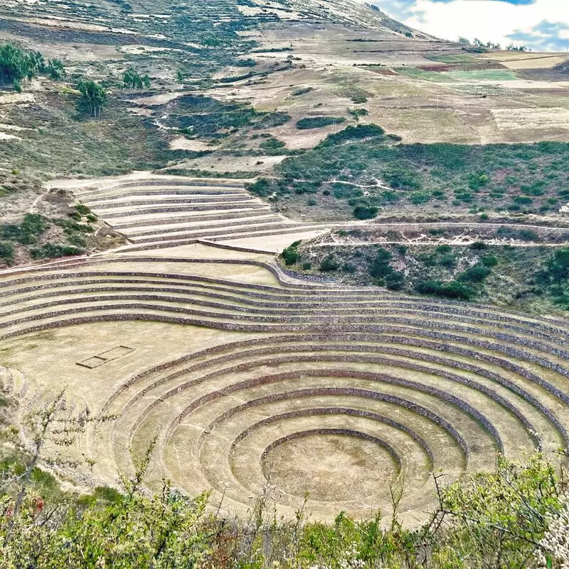 Moray