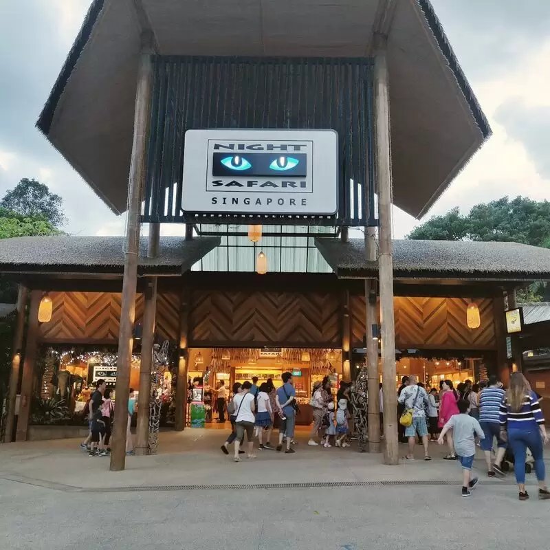 Night Safari