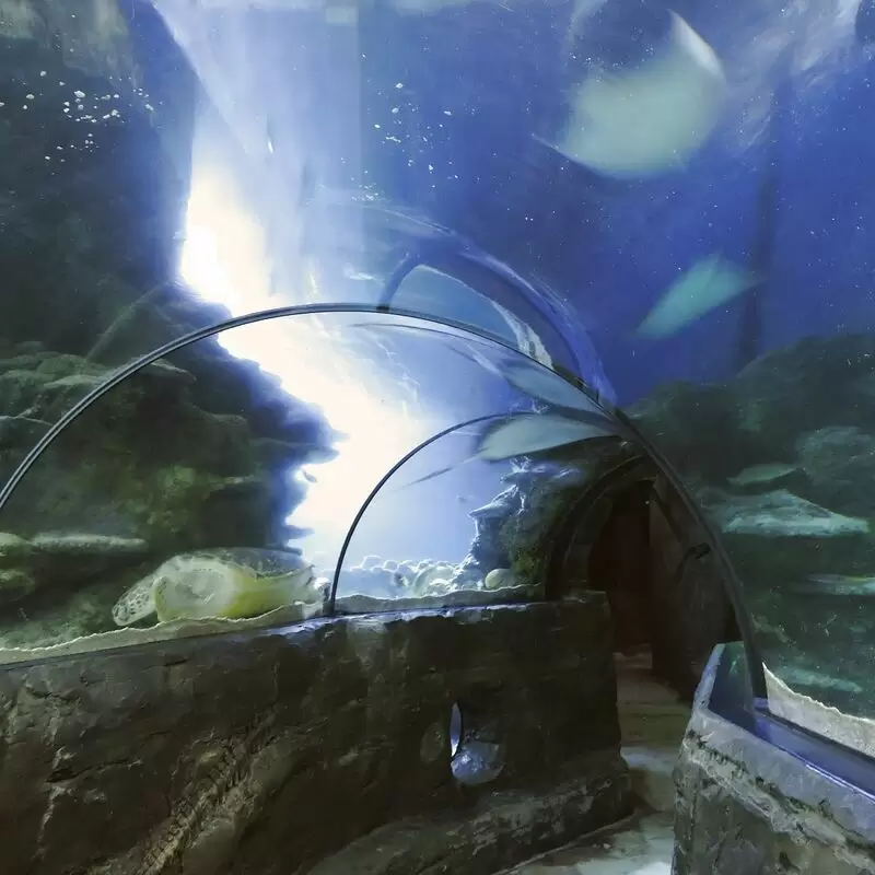 SEA LIFE Centre London Aquarium