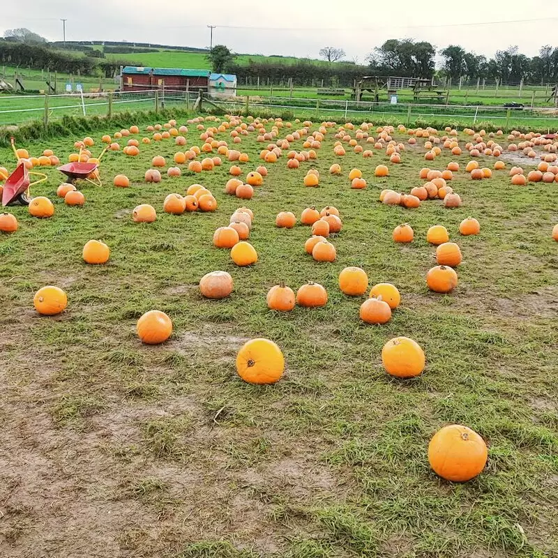 Streamvale Farm