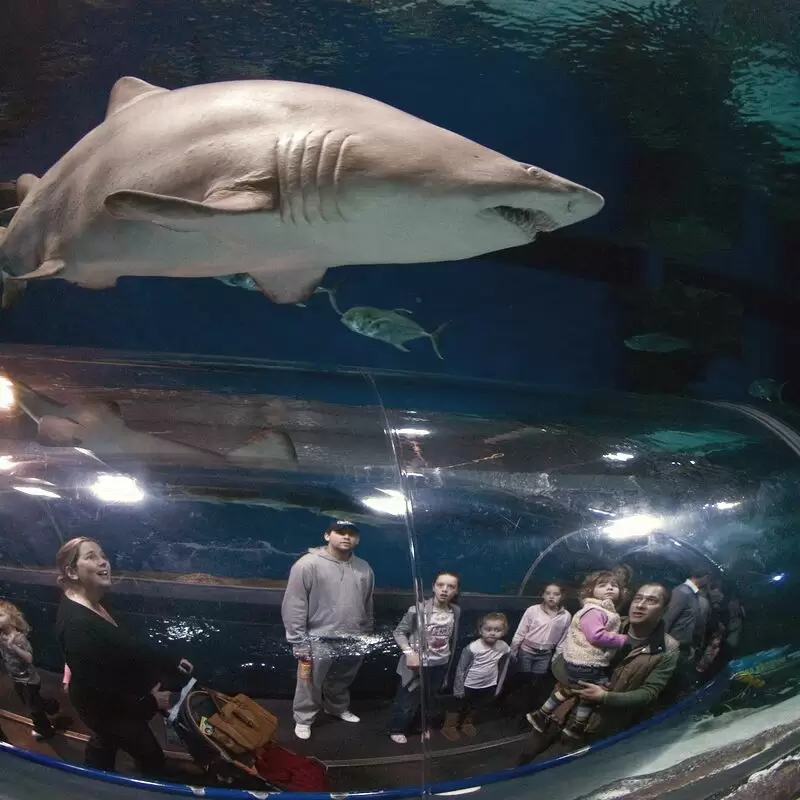 Blue Planet Aquarium