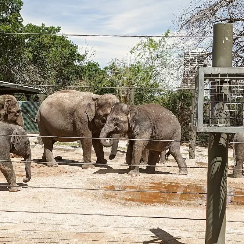 Houston Zoo