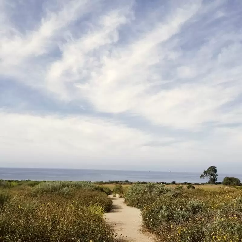 Carpinteria Bluffs Nature Preserve