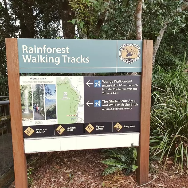 Dorrigo National Park