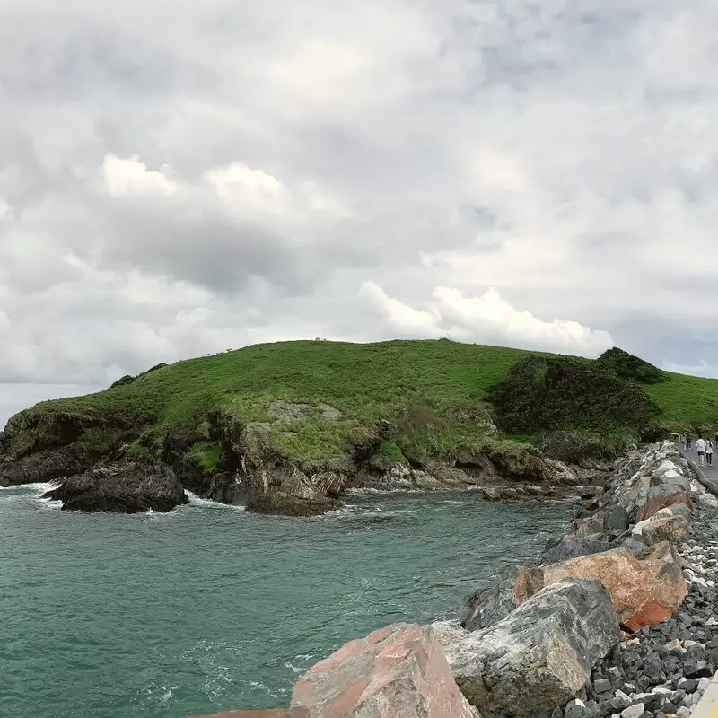 Muttonbird Island Nature Reserve