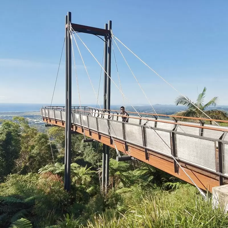 Forest Sky Pier