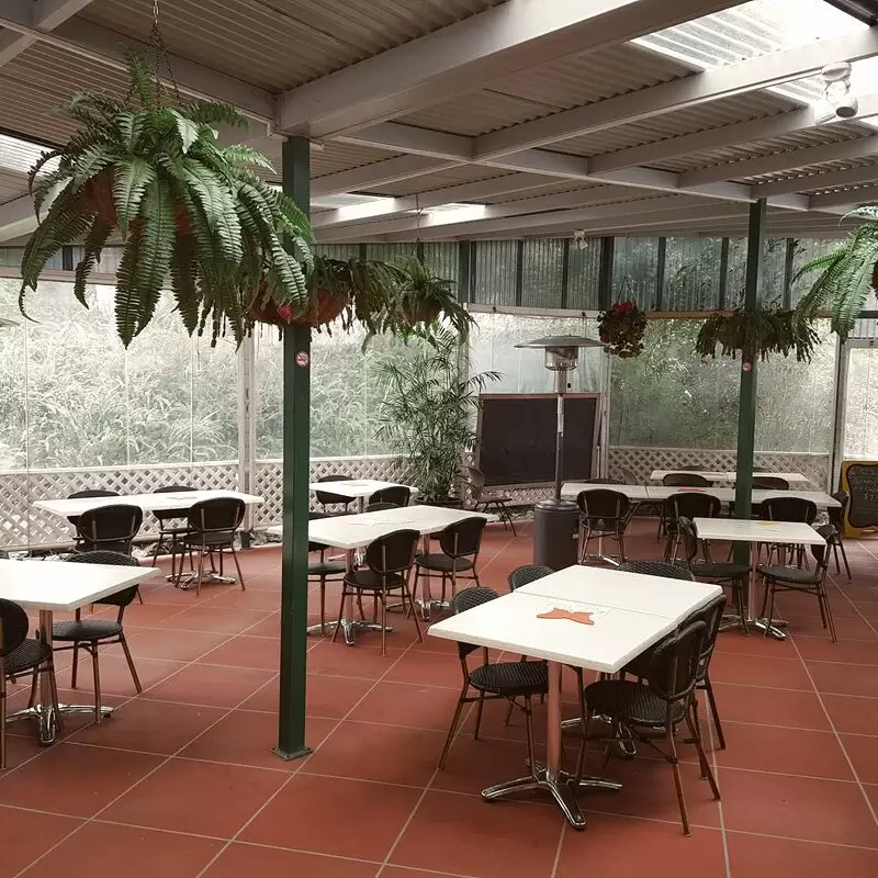 Coffs Harbour Butterfly House