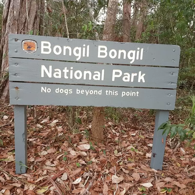 Bongil Bongil National Park