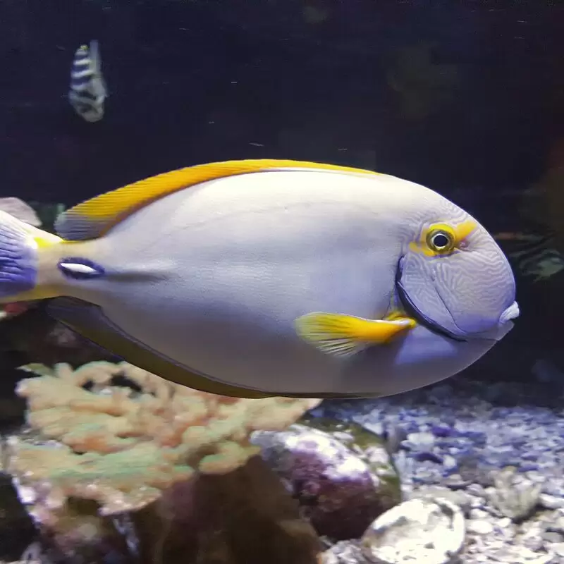 Solitary Islands Aquarium