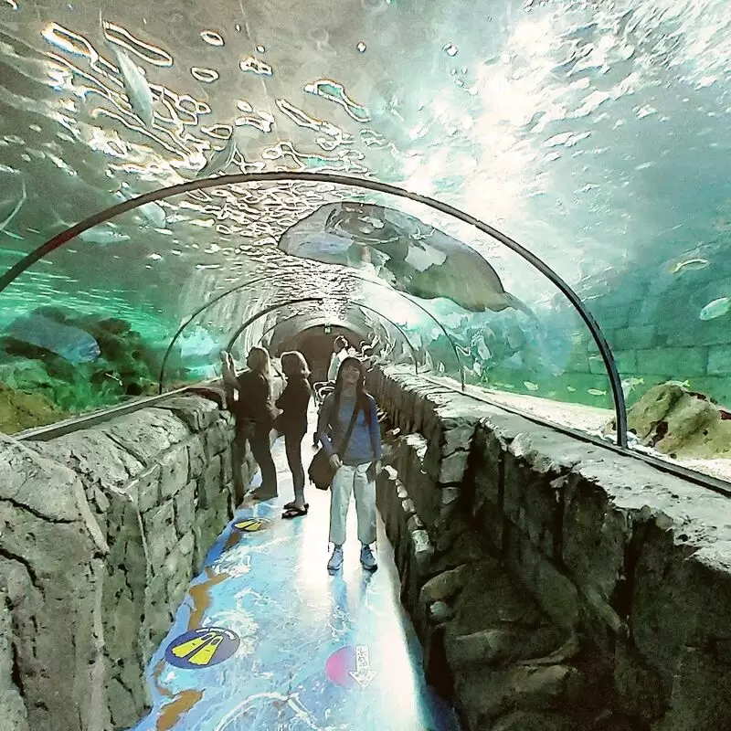 SEA LIFE Sydney Aquarium