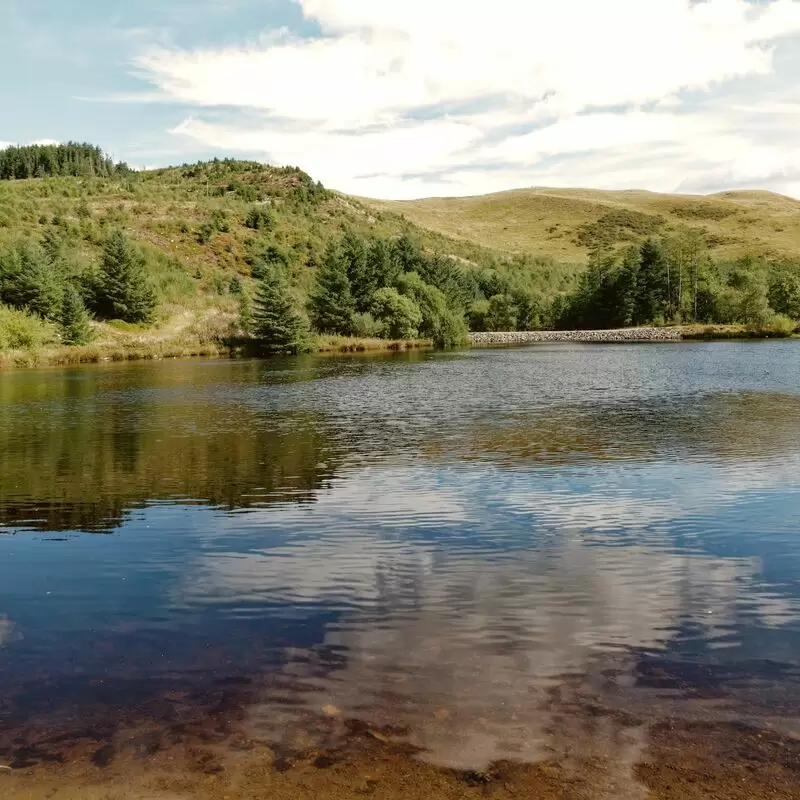 Bwlch Nant yr Arian Forest Visitor Centre