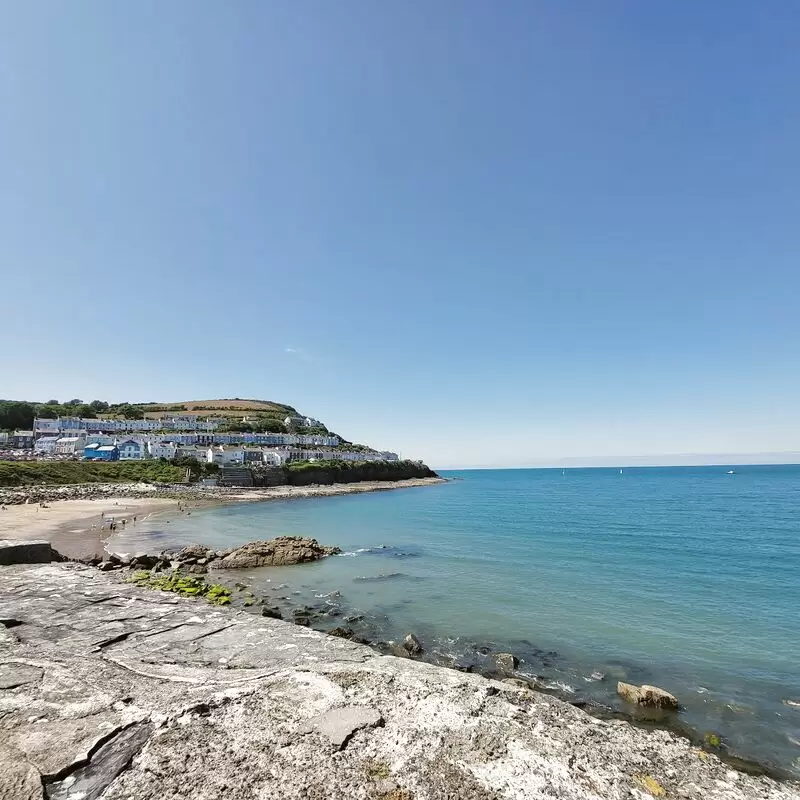 New Quay Dog Friendly Beach