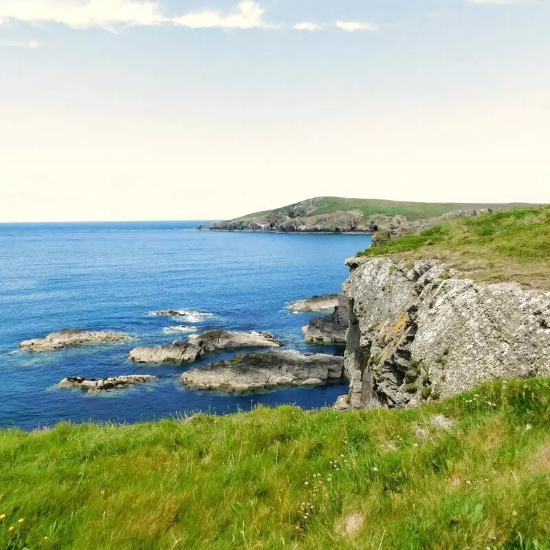 Cardigan Island Coastal Farm Park