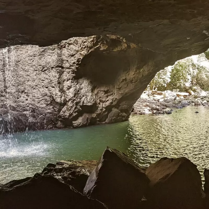 Natural Bridge Springbrook National Park