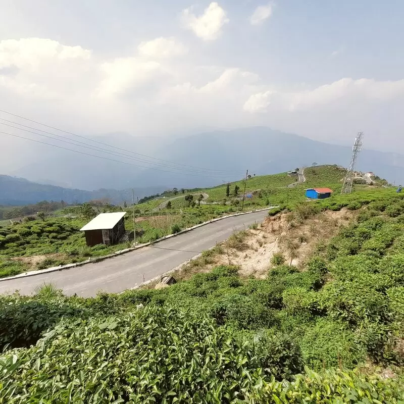 Gumbadara Viewpoint