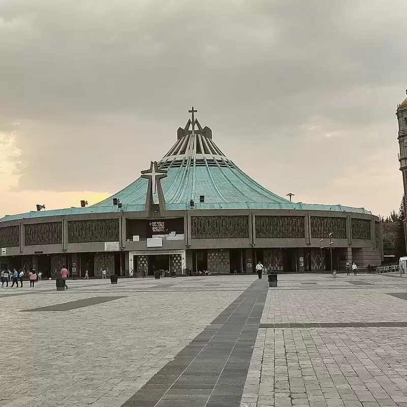 Basilica of Our Lady of Guadalupe