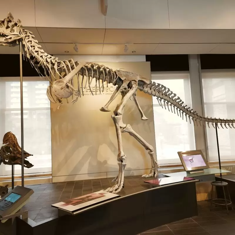 Canadian Museum of Nature