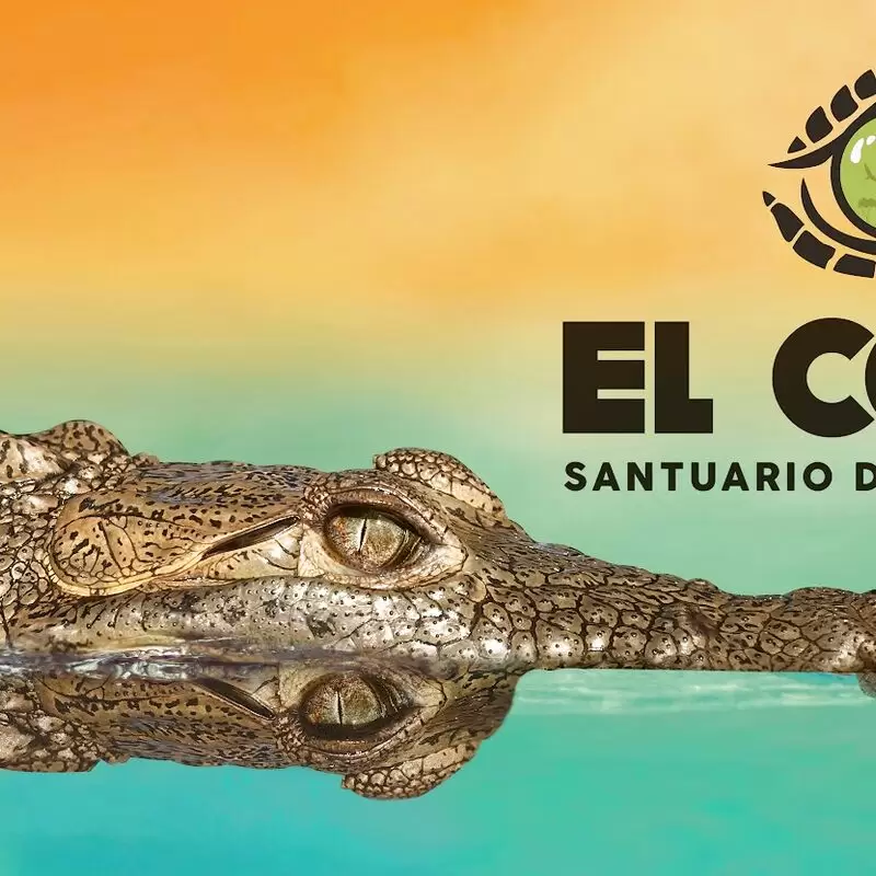 El Cora Crocodile Sanctuary