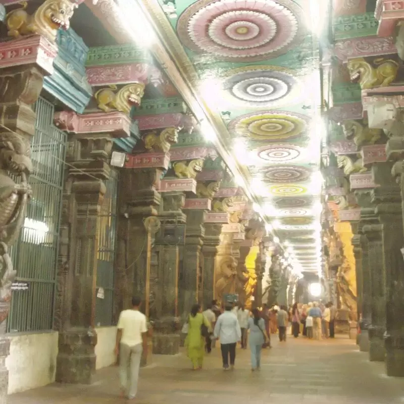 Thousand Pillars