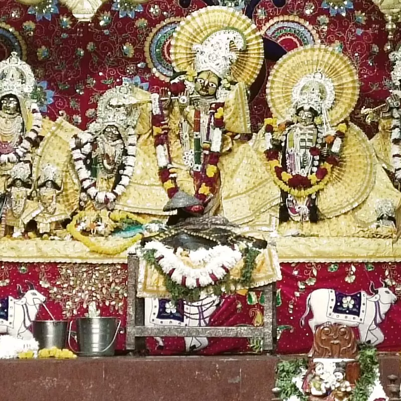 Shri Radha Damodar Dev Ji Temple Vrindavan