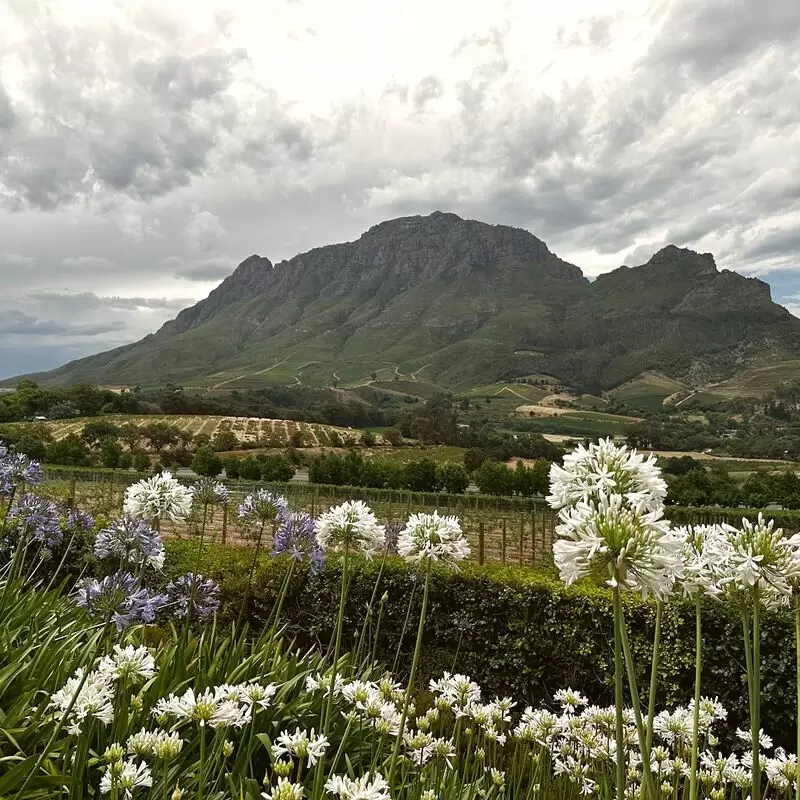 Delaire Graff Estate