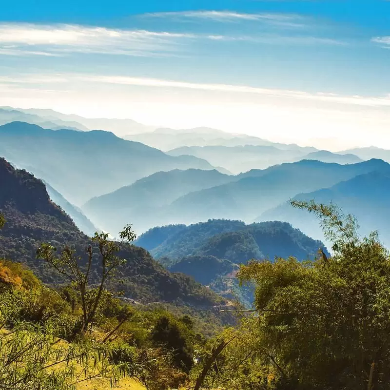 Rishikesh Day Tour