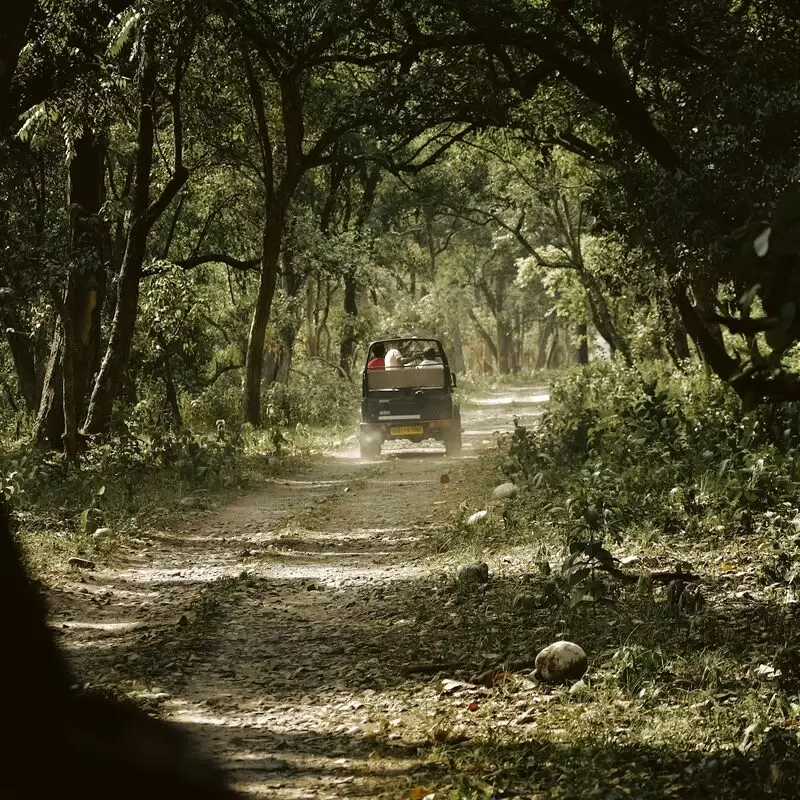 Book Jungle Safari in Rajaji National Park & Tiger Reserve